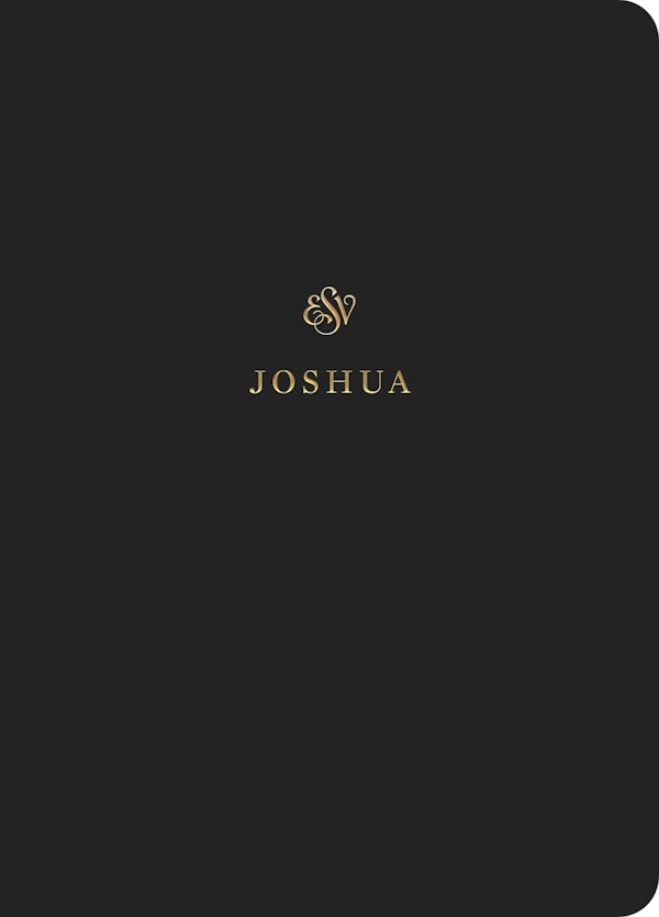 Cover image for ESV Scripture Journal, isbn: 9781433546358