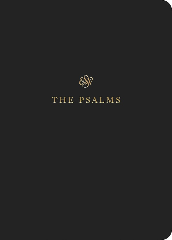Cover image for ESV Scripture Journal, isbn: 9781433546495