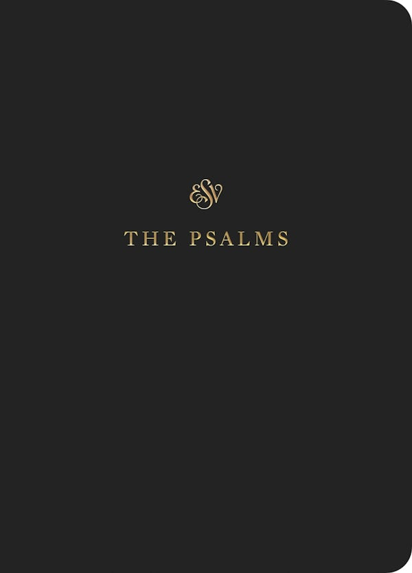 Cover image for ESV Scripture Journal, isbn: 9781433546495