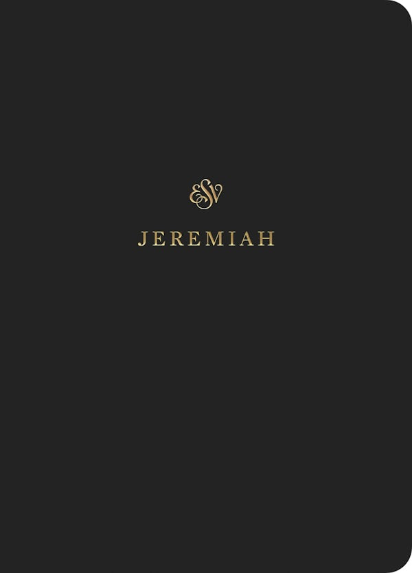 Cover image for ESV Scripture Journal, isbn: 9781433546594