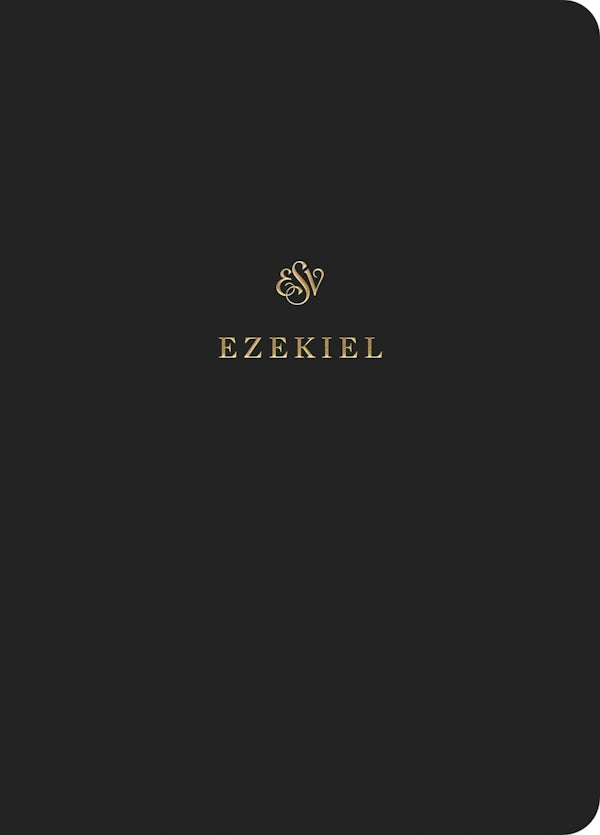 Cover image for ESV Scripture Journal, isbn: 9781433546624