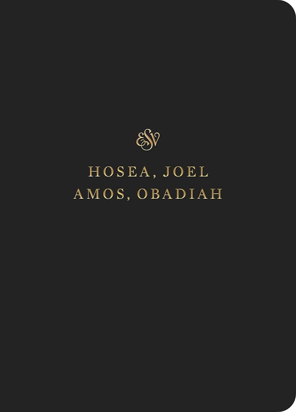 Cover image for ESV Scripture Journal, isbn: 9781433546655