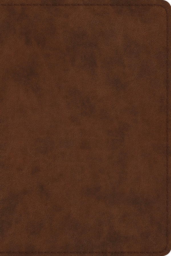 Cover image for Study Bible-ESV-Personal Size, isbn: 9781433547621