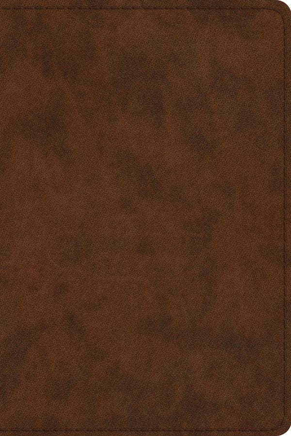 Cover image for Study Bible-ESV-Personal Size, isbn: 9781433547621