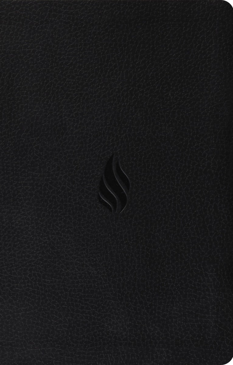 Cover image for Premium Gift Bible-ESV-Flame Design, isbn: 9781433550621