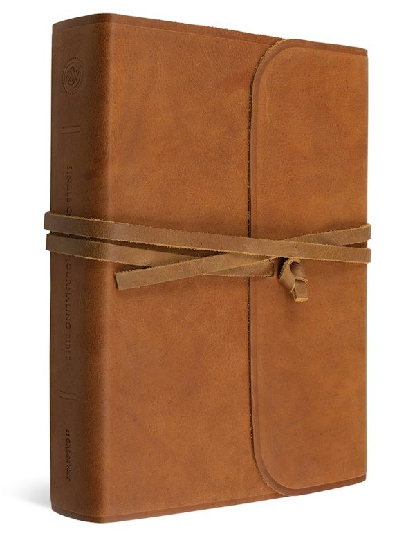 Cover image for Journaling Bible-ESV, isbn: 9781433553165