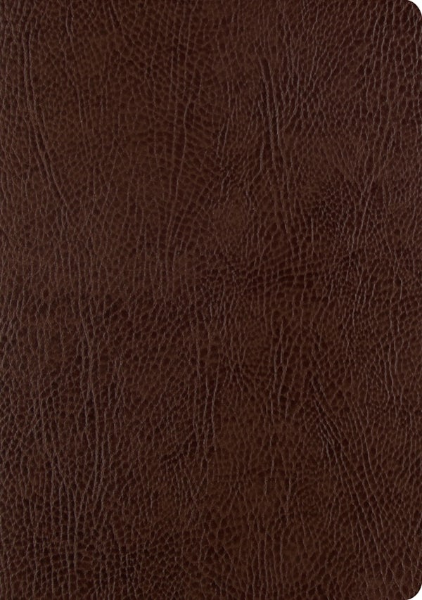 Cover image for ESV Single Column Journaling Bible, Large Print (Mocha), isbn: 9781433555381