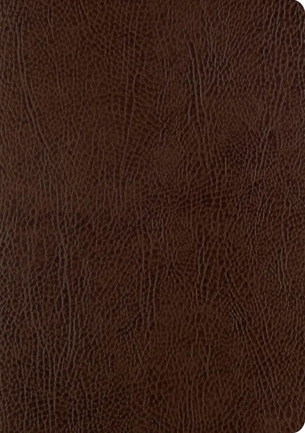 Cover image for ESV Single Column Journaling Bible, Large Print (Mocha), isbn: 9781433555381