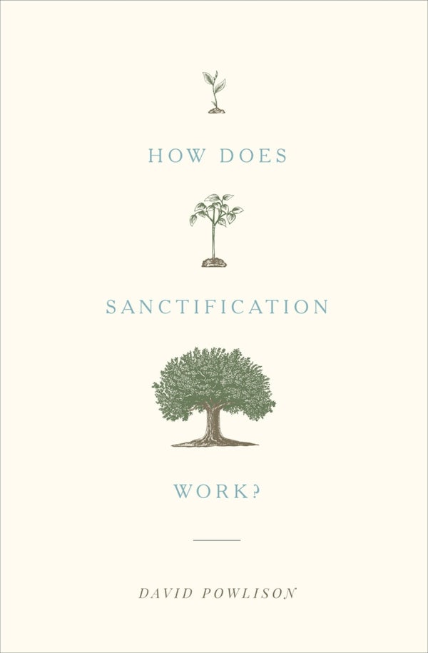 Cover image for How Does Sanctification Work?, isbn: 9781433556104