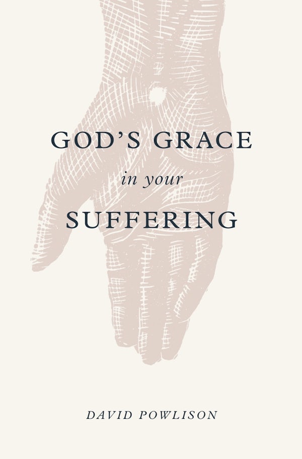 Cover image for God's Grace in Your Suffering, isbn: 9781433556180