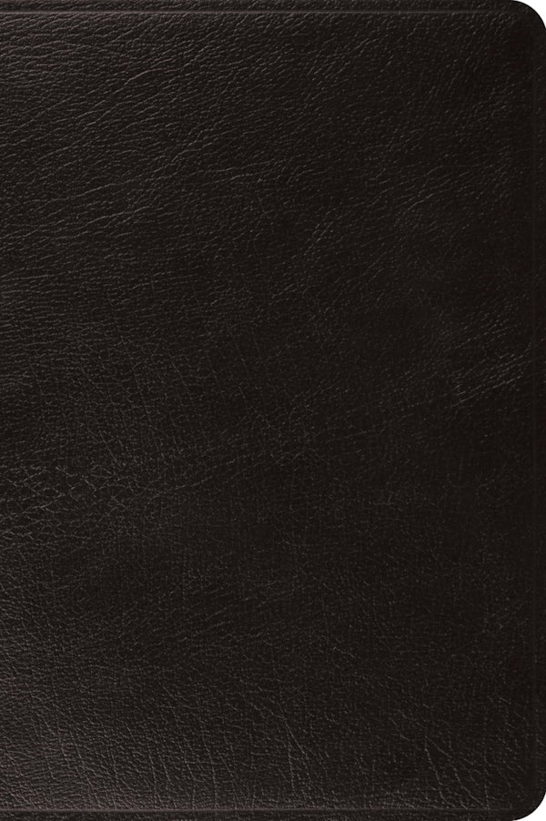 Cover image for ESV Large Print Bible (Black), isbn: 9781433557613