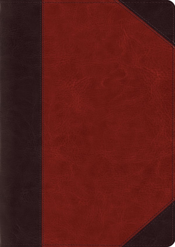 Cover image for ESV Study Bible, Large Print (Trutone, Brown/Cordovan, Portfolio Design), isbn: 9781433557668