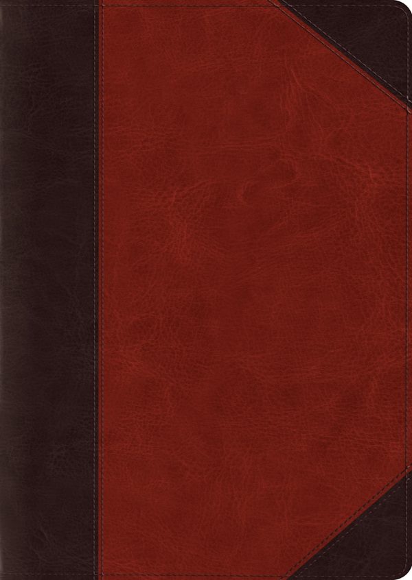 Cover image for ESV Study Bible, Large Print (Trutone, Brown/Cordovan, Portfolio Design), isbn: 9781433557668