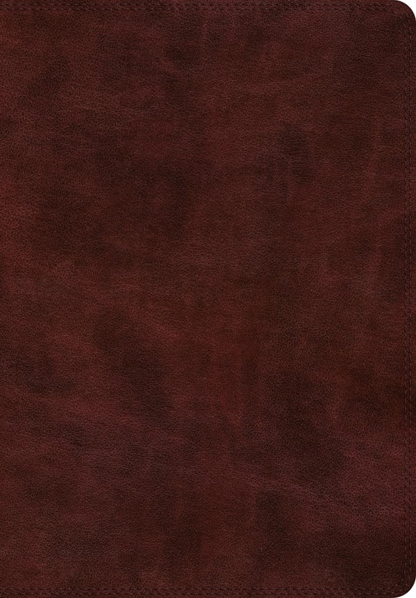 Cover image for ESV Super Giant Print Bible (Trutone, Burgundy), isbn: 9781433558832