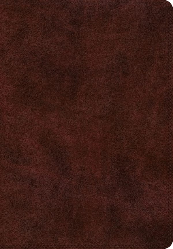Cover image for ESV Super Giant Print Bible (Trutone, Burgundy), isbn: 9781433558832