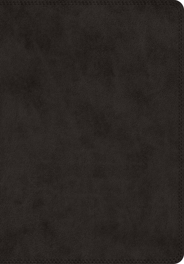 Cover image for ESV Super Giant Print Bible (Trutone, Black), isbn: 9781433558849