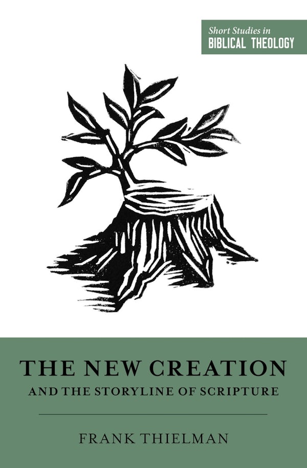 Cover image for The New Creation and the Storyline of Scripture, isbn: 9781433559556