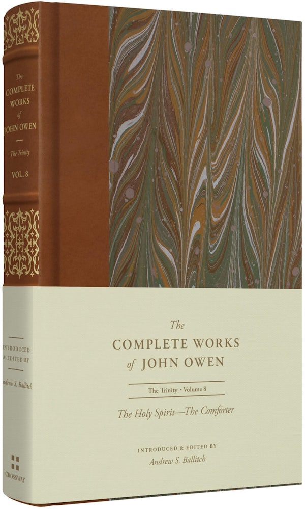 Cover image for The Holy Spirit--The Comforter (Volume 8), isbn: 9781433560217