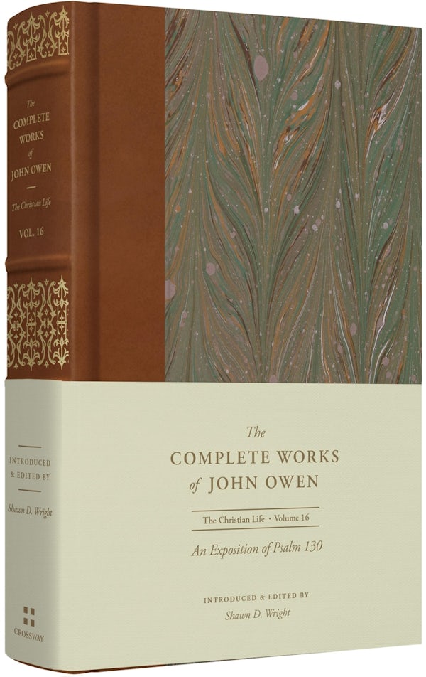 Cover image for An Exposition of Psalm 130 (Volume 16), isbn: 9781433560279