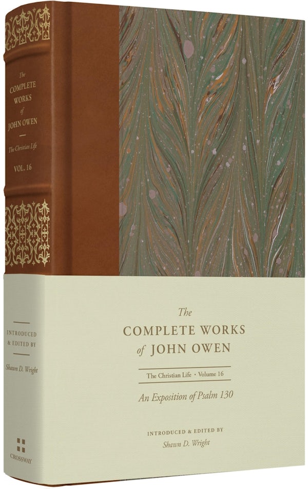 Cover image for An Exposition of Psalm 130 (Volume 16), isbn: 9781433560279