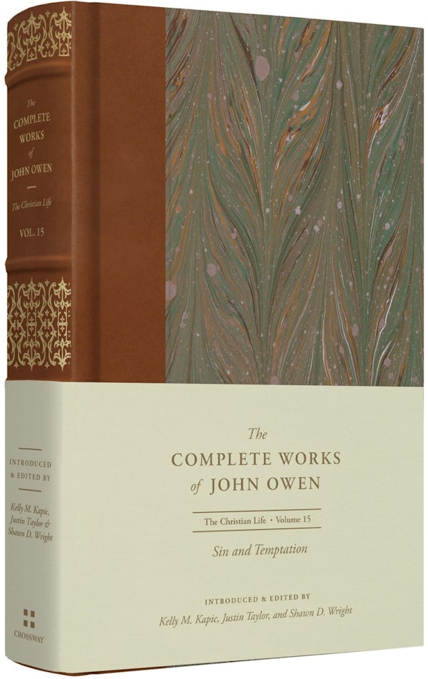 Cover image for Sin and Temptation (Volume 15), isbn: 9781433560286