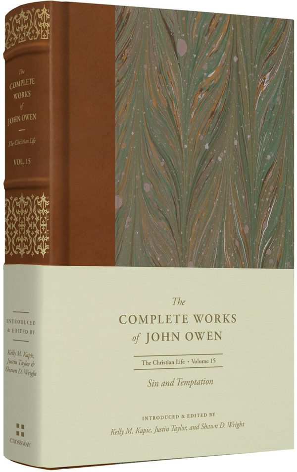 Cover image for Sin and Temptation (Volume 15), isbn: 9781433560286