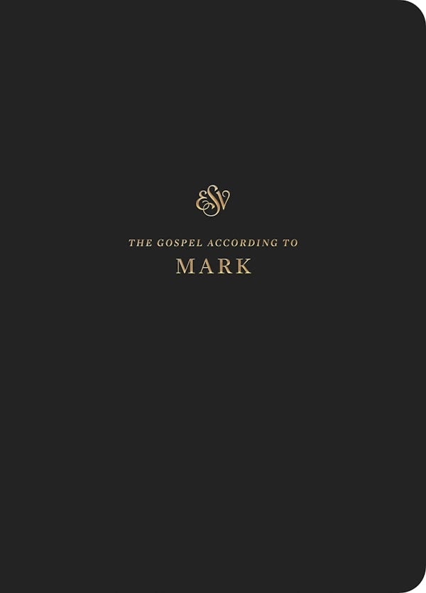 Cover image for ESV Scripture Journal, isbn: 9781433560859
