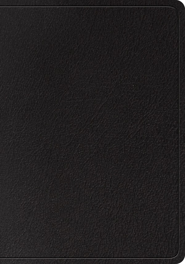 Cover image for ESV Large Print Wide Margin Bible (Black), isbn: 9781433561955