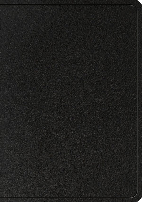 Cover image for ESV Large Print Wide Margin Bible (Black), isbn: 9781433561955