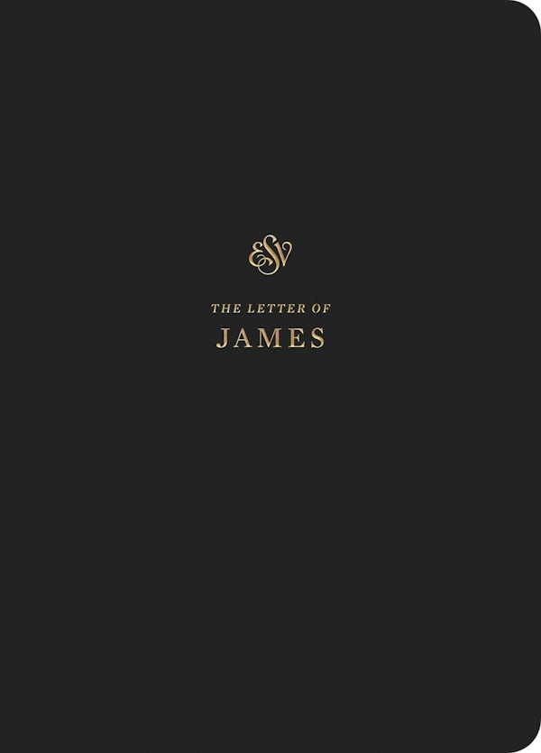 Cover image for ESV Scripture Journal, isbn: 9781433562402