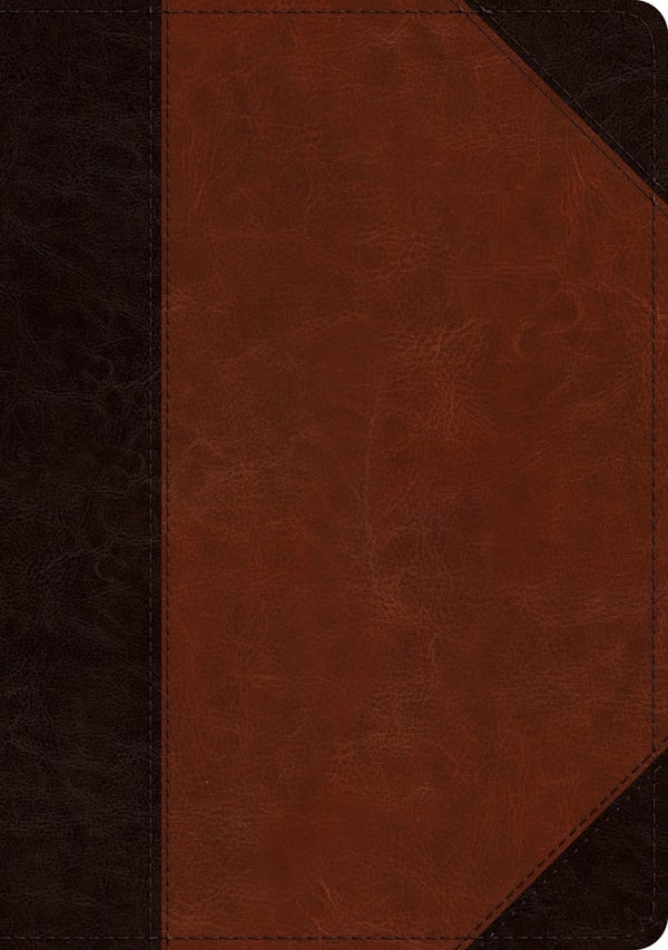 Cover image for ESV Large Print Wide Margin Bible (Trutone, Brown/Cordovan, Portfolio Design), isbn: 9781433562457