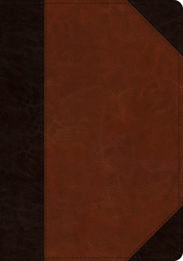 Cover image for ESV Large Print Wide Margin Bible (Trutone, Brown/Cordovan, Portfolio Design), isbn: 9781433562457