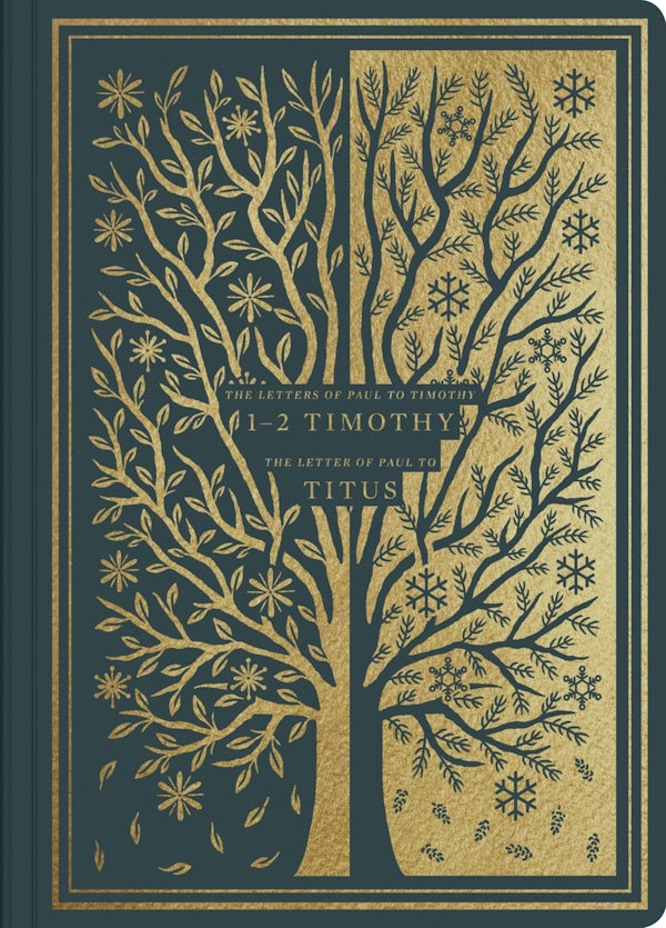 Cover image for ESV Illuminated Scripture Journal: 1-2 Timothy and Titus, isbn: 9781433564925