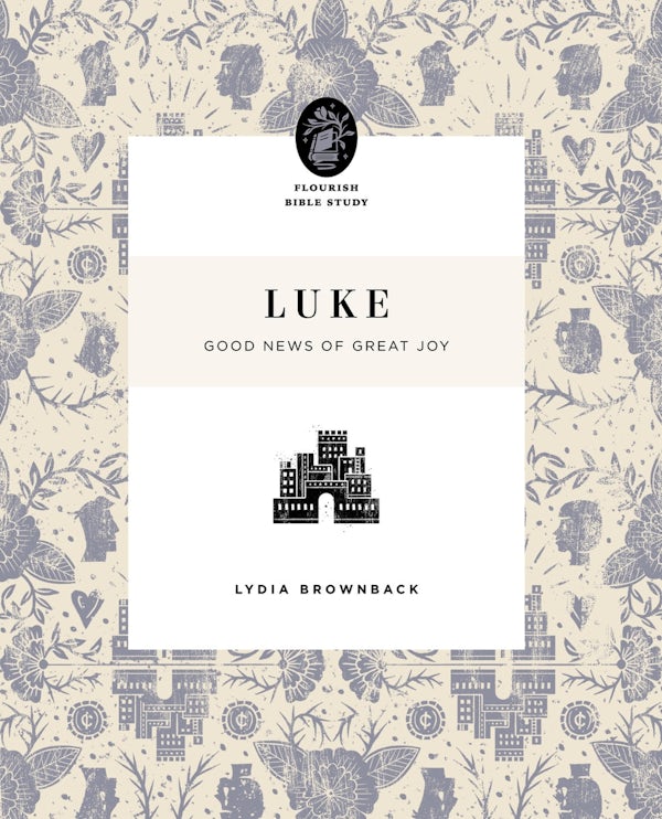 Cover image for Luke, isbn: 9781433566653