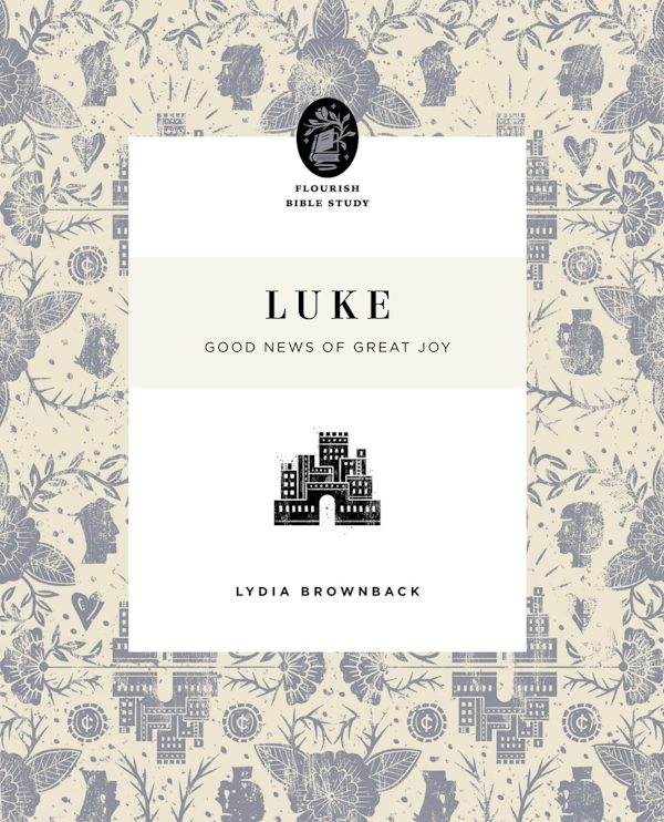Cover image for Luke, isbn: 9781433566653