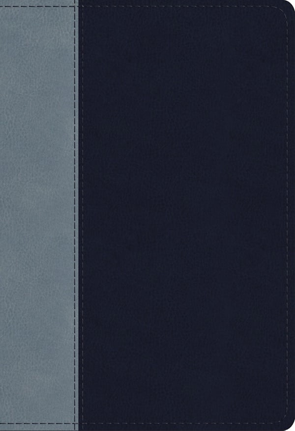 Cover image for ESV Student Study Bible (Trutone, Navy/Slate, Timeless Design), isbn: 9781433566981