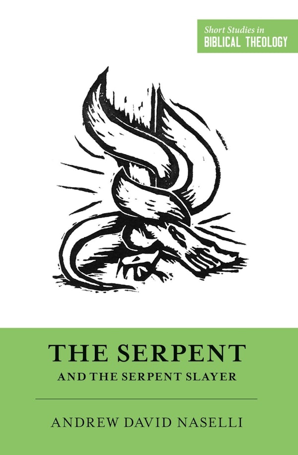 Cover image for The Serpent and the Serpent Slayer, isbn: 9781433567971