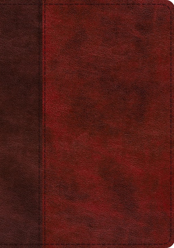 Cover image for ESV Single Column Journaling Bible, Large Print (Trutone, Burgundy/Red, Timeless Design), isbn: 9781433568732