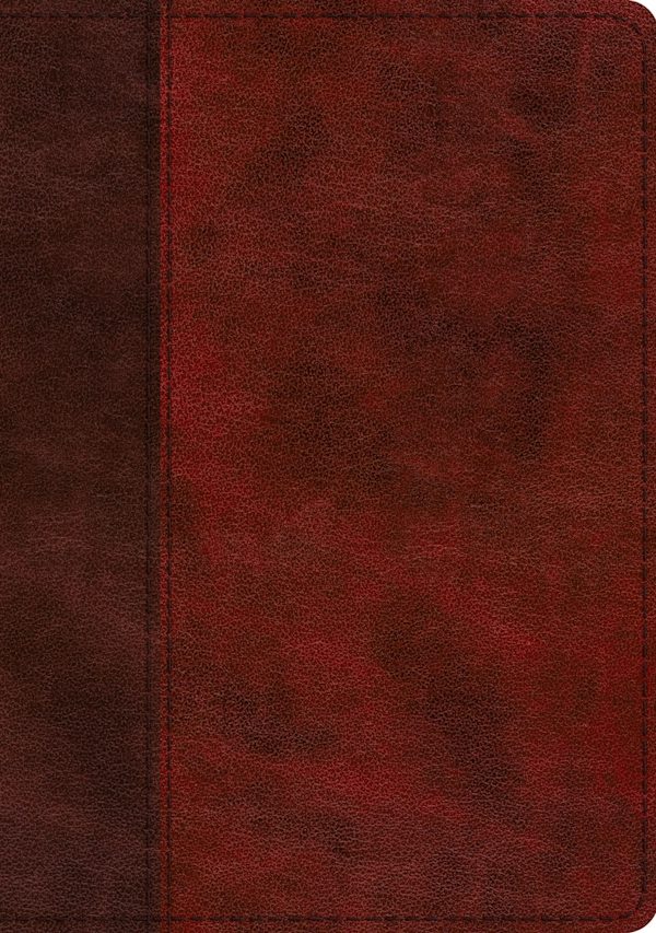 Cover image for ESV Single Column Journaling Bible, Large Print (Trutone, Burgundy/Red, Timeless Design), isbn: 9781433568732