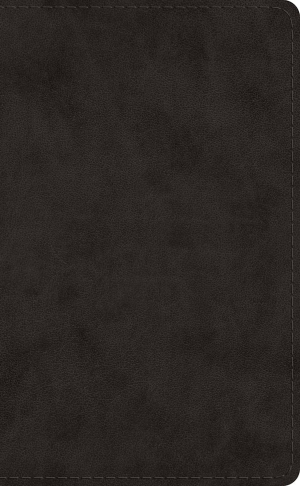 Cover image for ESV Pocket Bible (Trutone, Black), isbn: 9781433568831