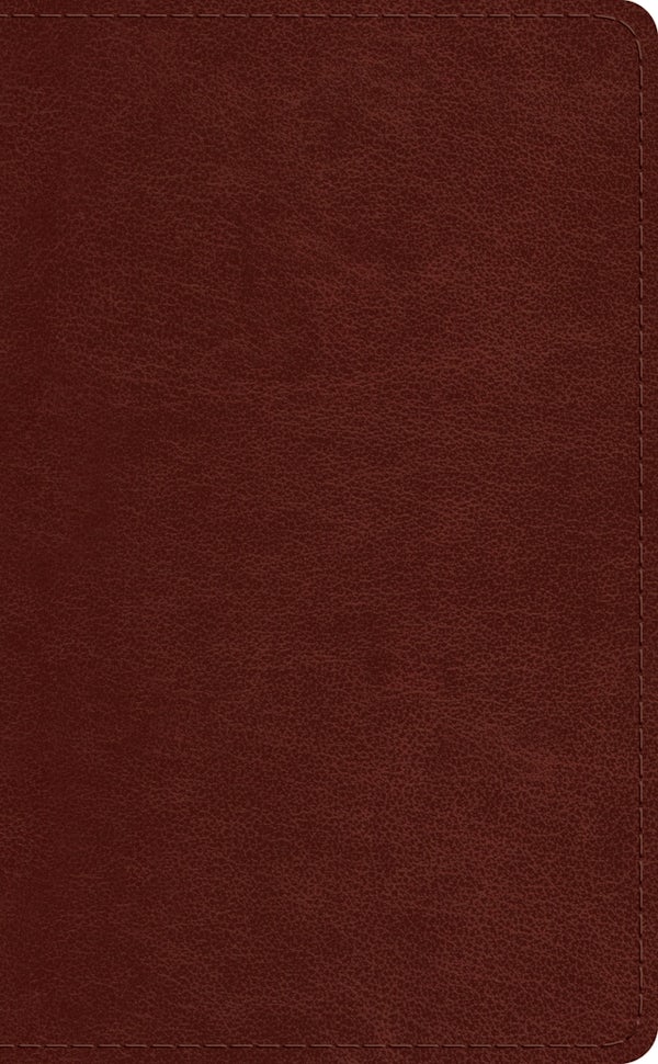Cover image for ESV Pocket Bible (Trutone, Chestnut), isbn: 9781433568848