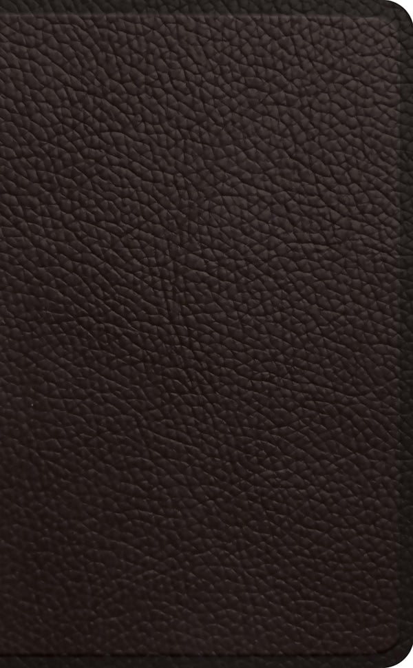 Cover image for ESV Pocket Bible, isbn: 9781433568855