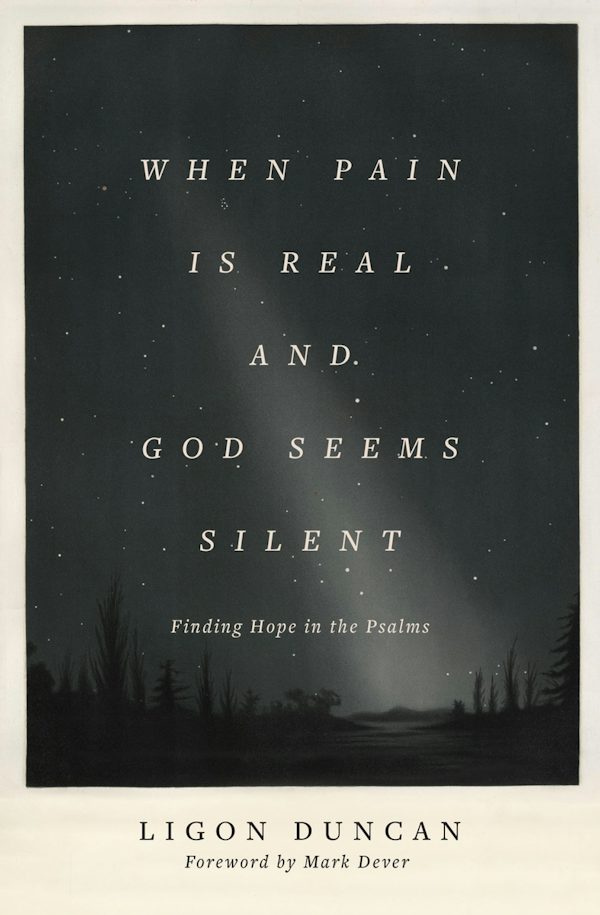 Cover image for When Pain Is Real and God Seems Silent, isbn: 9781433569050