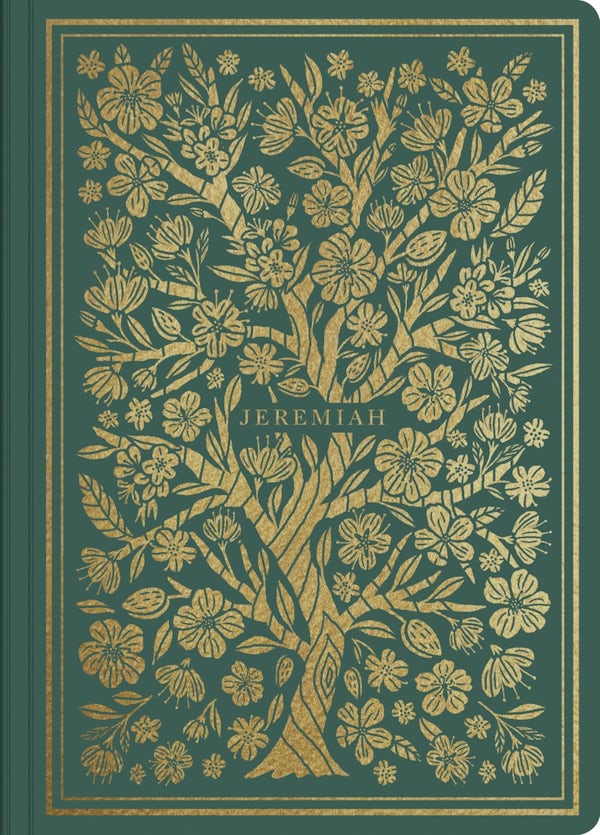 Cover image for ESV Illuminated Scripture Journal: Jeremiah, isbn: 9781433569173