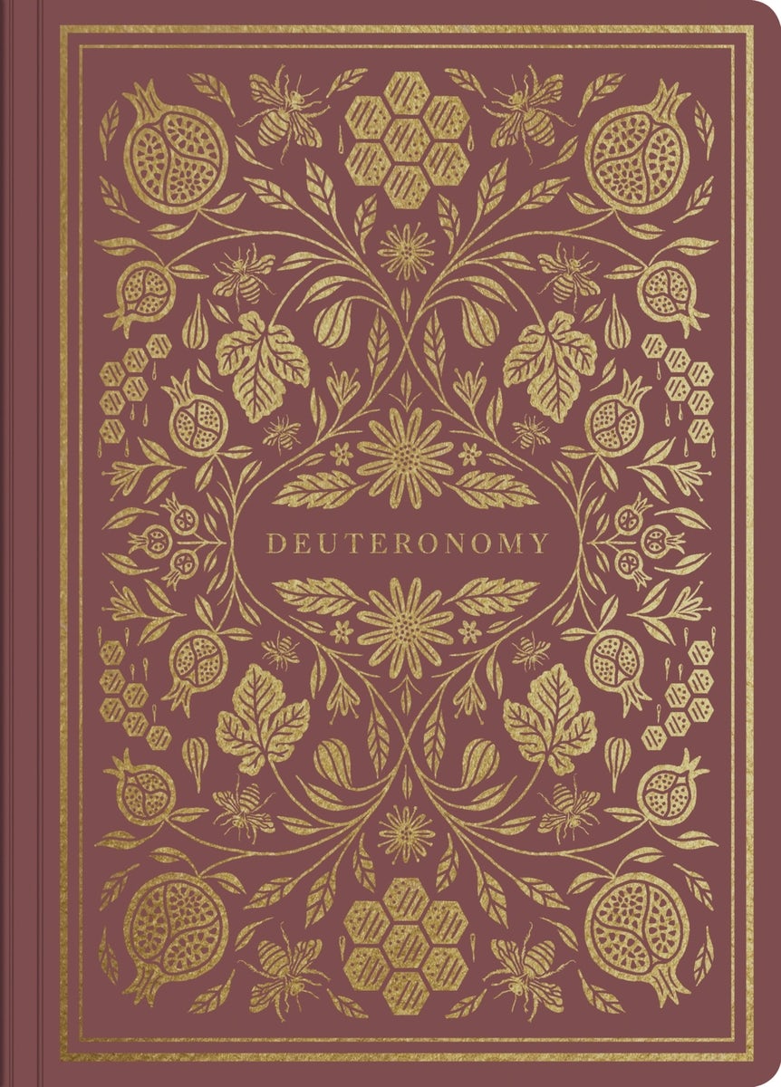 Cover image for Deuteronomy, isbn: 9781433569296