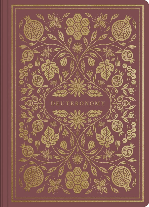 Cover image for Deuteronomy, isbn: 9781433569296