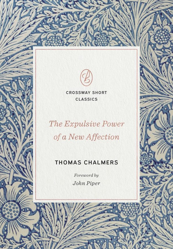Cover image for The Expulsive Power of a New Affection, isbn: 9781433570674