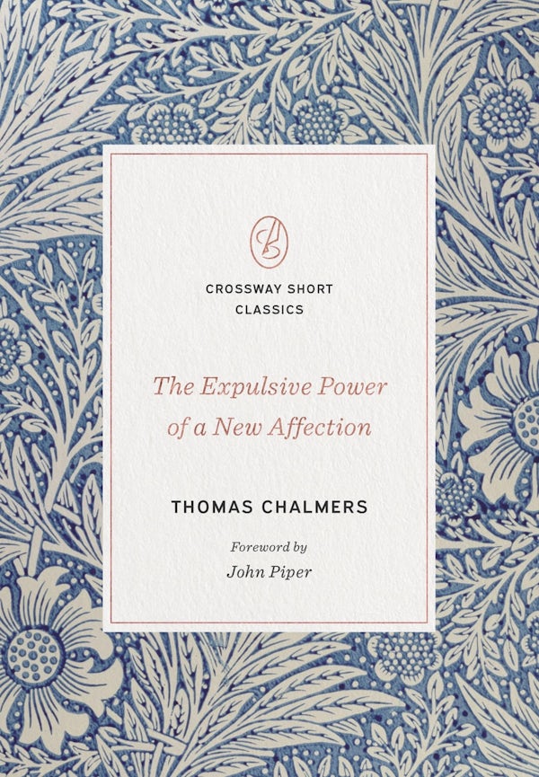 Cover image for The Expulsive Power of a New Affection, isbn: 9781433570674