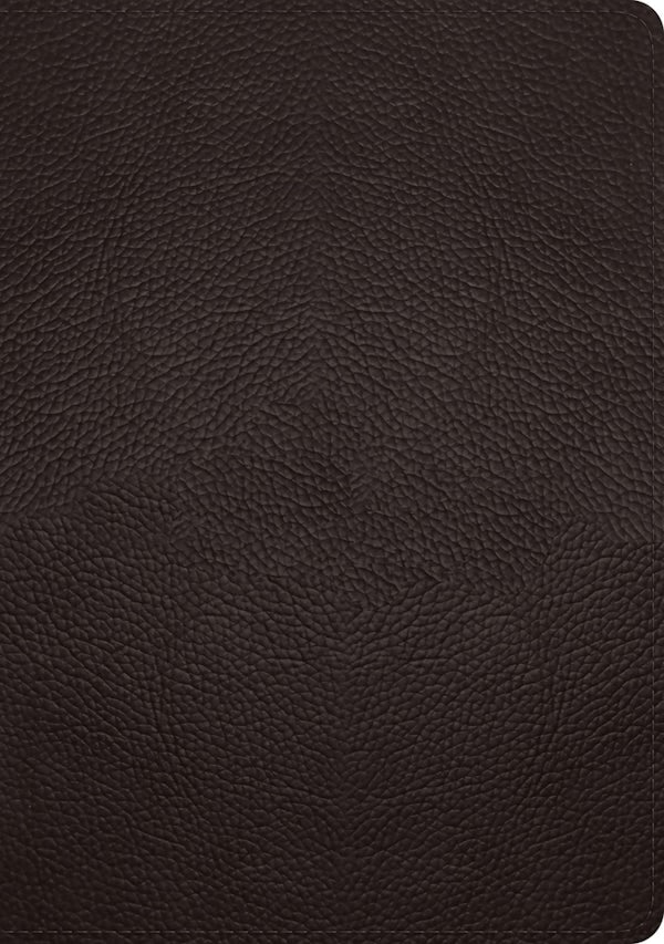 Cover image for ESV Single Column Journaling Bible, Large Print (Buffalo Leather, Deep Brown), isbn: 9781433570919