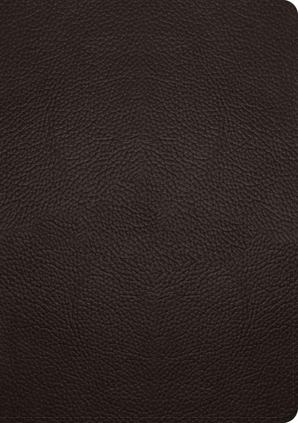 Cover image for ESV Single Column Journaling Bible, Large Print (Buffalo Leather, Deep Brown), isbn: 9781433570919